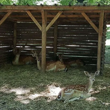 Kyriad En Valois Crépy-en-Valois