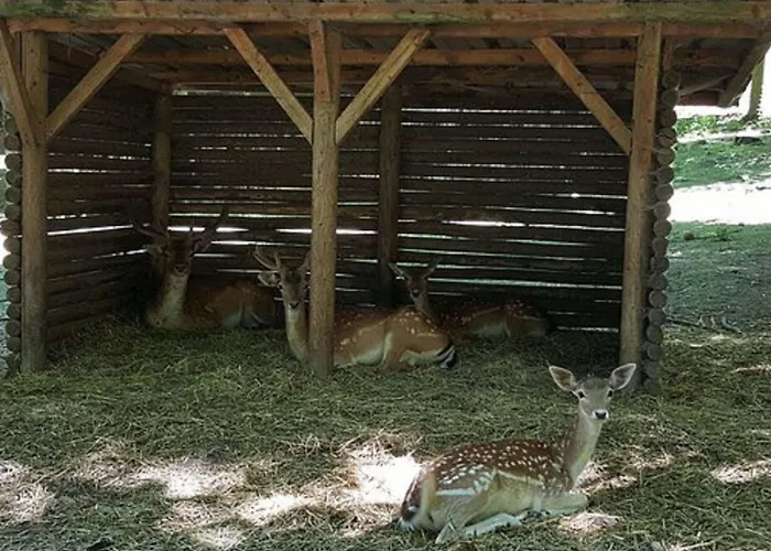 Kyriad En Valois Crépy-en-Valois