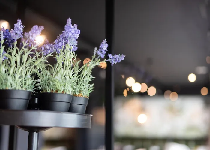 Kyriad En Valois Crépy-en-Valois